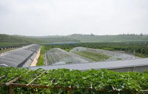 陜西推廣軟體集雨水窖水肥一體化技術(shù)，推動節(jié)水農(nóng)業(yè)發(fā)展 